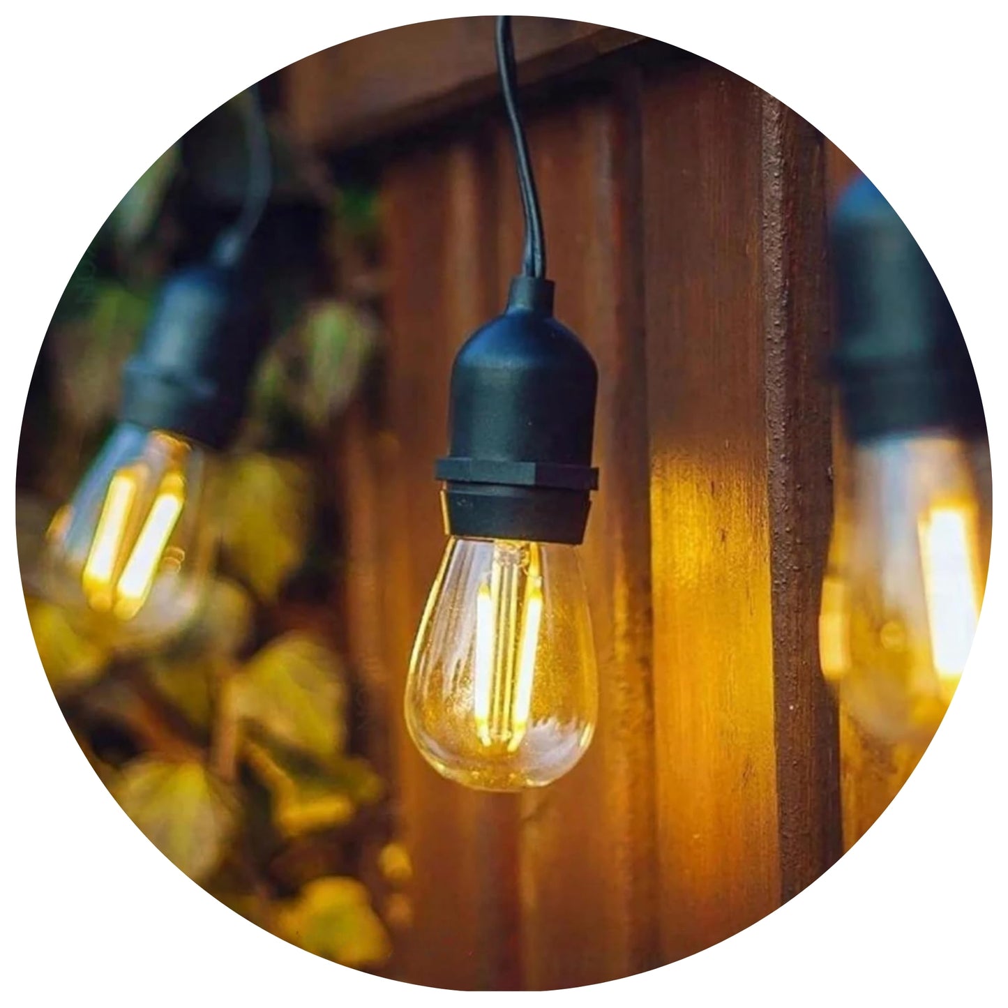 Holiday Bright Lights S14 Indoor/Outdoor Double Filament 1.2W E26 Dimmable Patio Bulbs - Warm White 25 Per Box