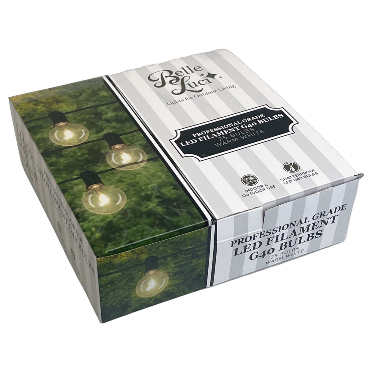 Holiday Bright Lights G40 Indoor/Outdoor Patio Bulbs Single Filament, Warm White, 25 Per Box
