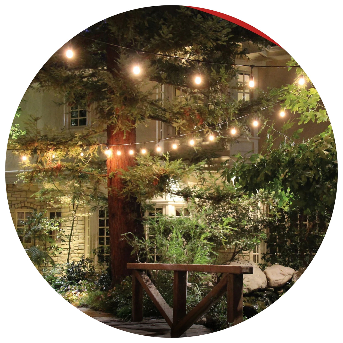 Holiday Bright Lights 10L Indoor/Outdoor Led Vintage Patio String Light Set - Warm White, Shatterproof