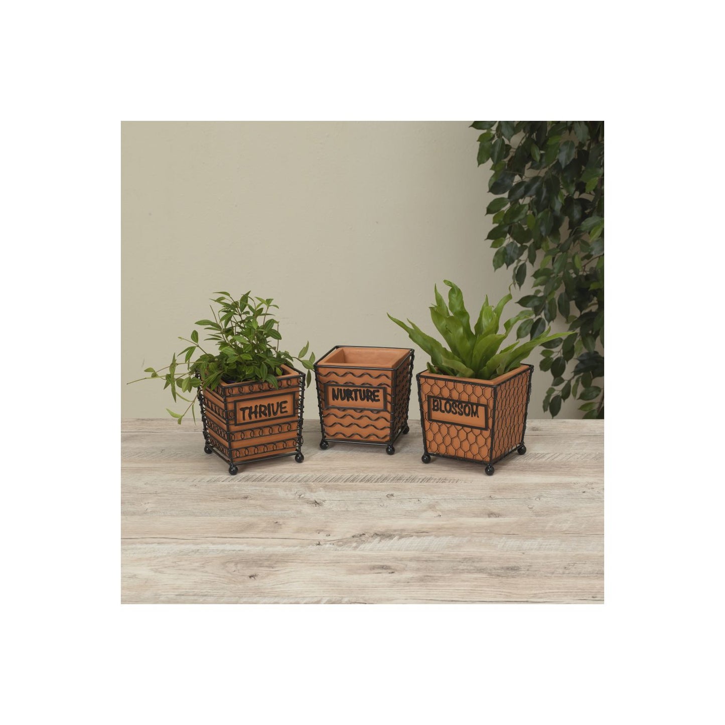 Gerson Company 5.9"H Metal & Cement Planter, 3 Assorted