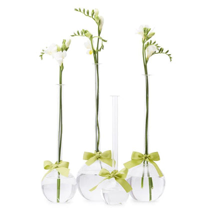 Two's Company Sleek and Chic Set of 4 Bubbles Vases