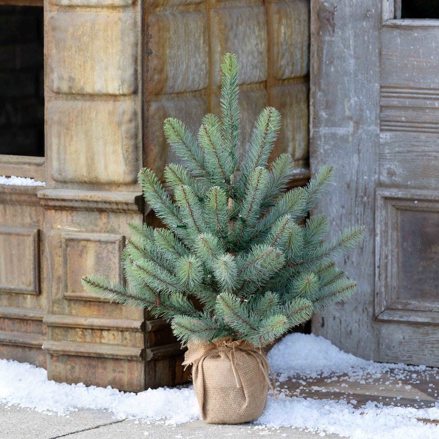 Park Hill Collection Tree Lot 24" Burlap Wrapped Blue Spruce Seedling with Led