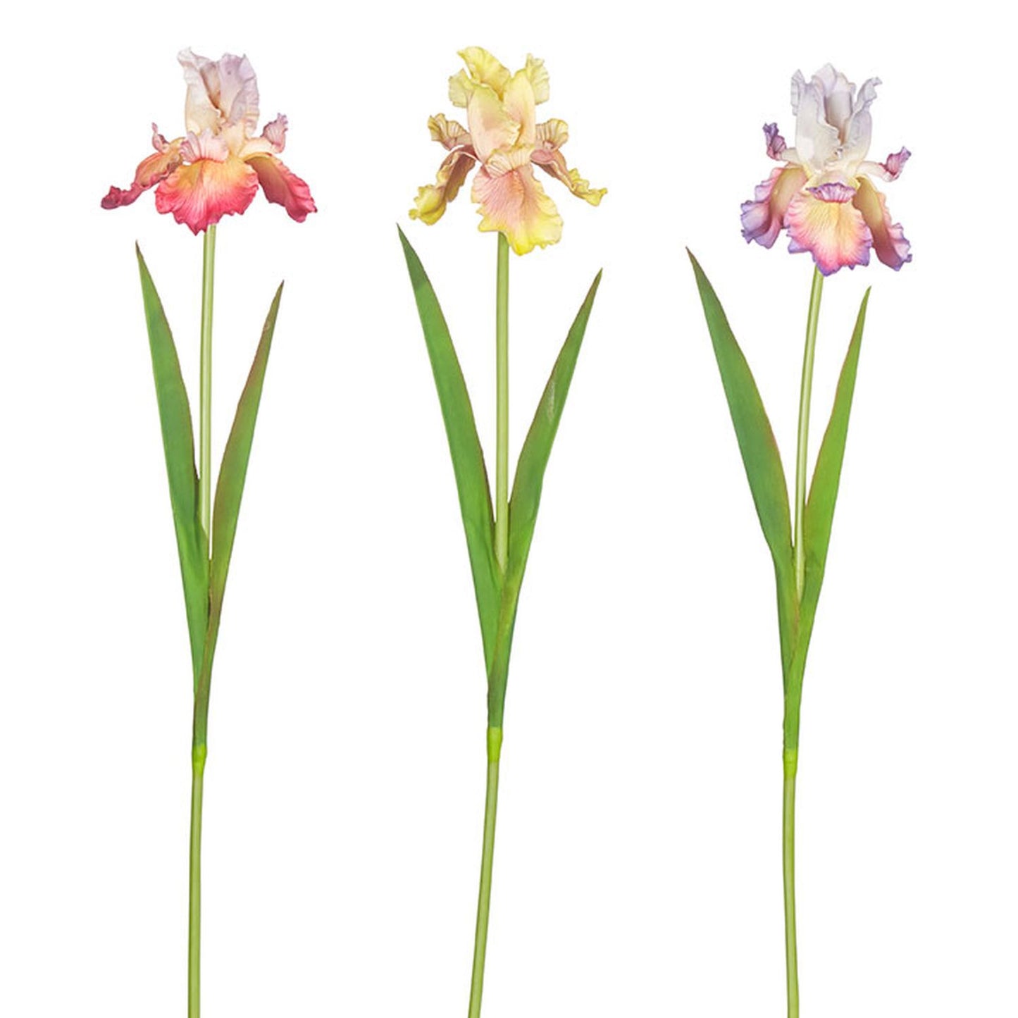 Raz Imports 32.5-inch Real Touch Iris Stem, Assortment of 3 Faux Flowers