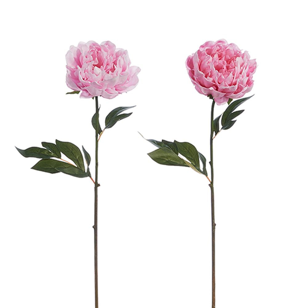 Raz Imports 2024 The Flower Shop 25" Real Touch Peony Stem, Asst of 2