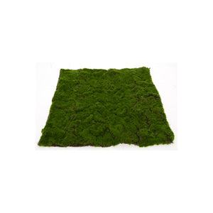 Mark Roberts 2020 Moss Grass 19.7''