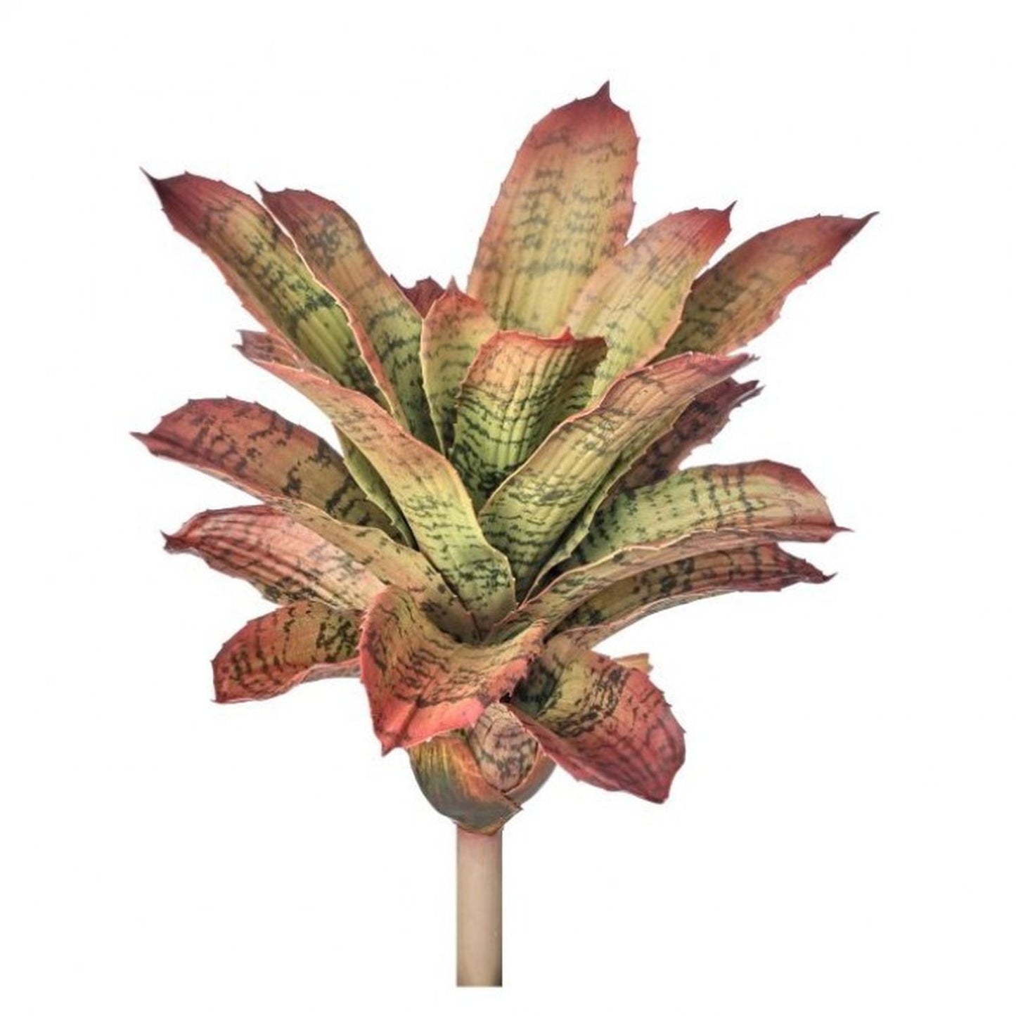 Regency International Plastic Pineapple Bromeliad Plant 13"