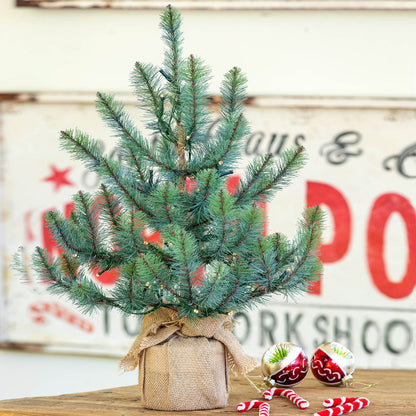 Park Hill Collection Tree Lot 24" Burlap Wrapped Blue Spruce Seedling with Led