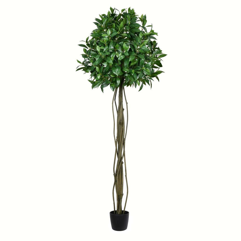 Vickerman Artificial Potted Bay Leaf Topiary
