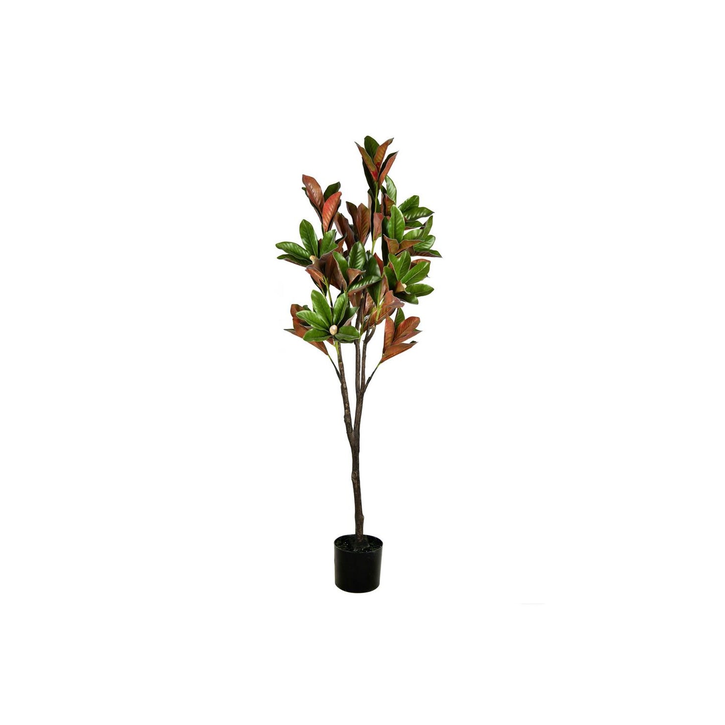 Vickerman 6' Artificial Green Magnolia Tree In Black Planters Pot