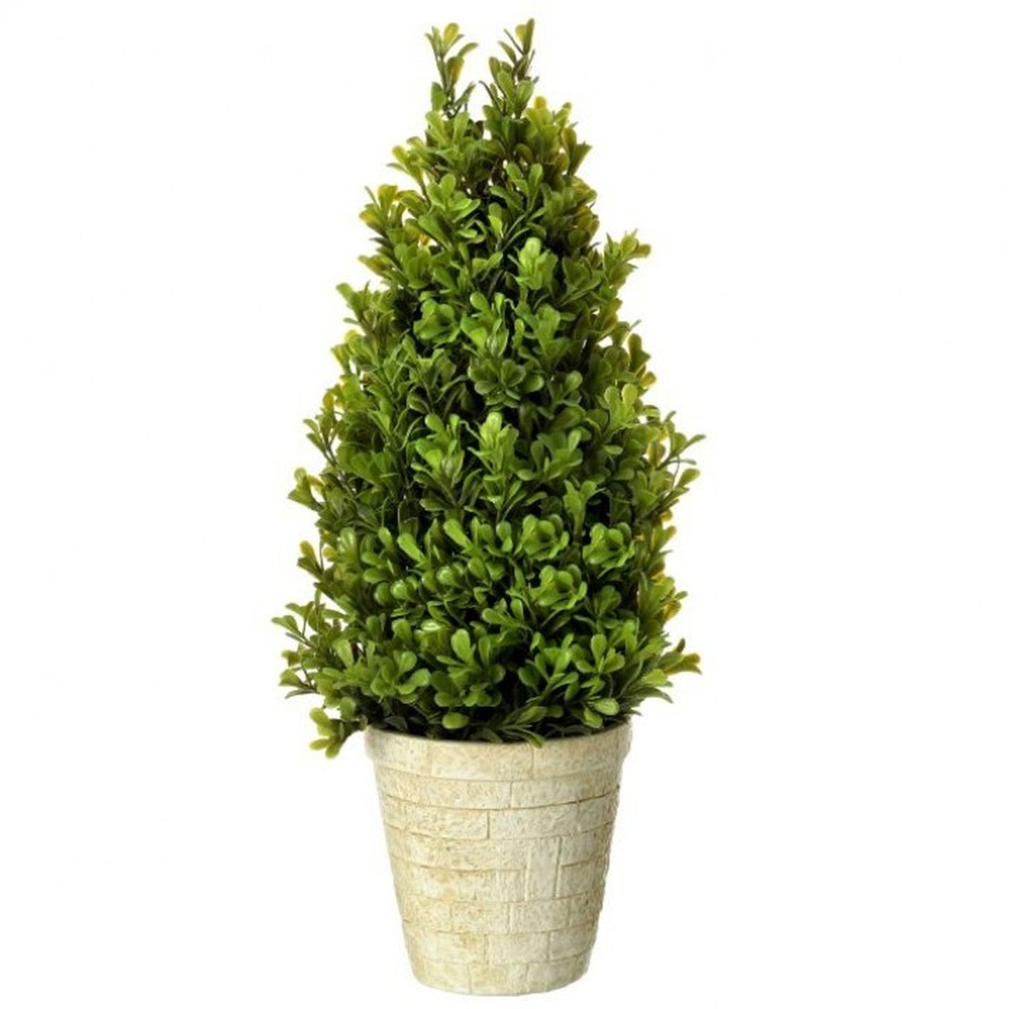 Regency International Potted Plant Spring Boxwood Cone Topiary