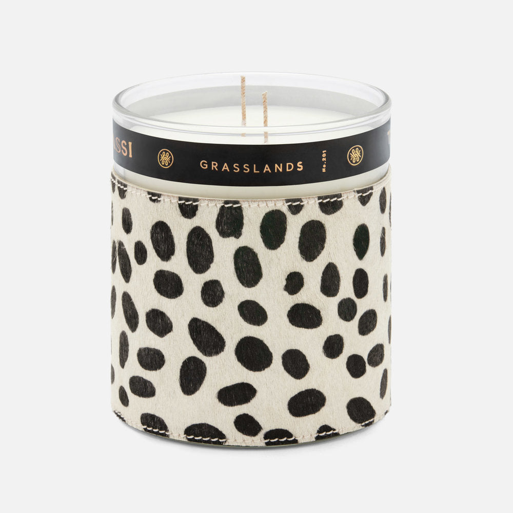 Thucassi Savanna Candle, Grasslands Scent, Dalmatian Print Sleeve