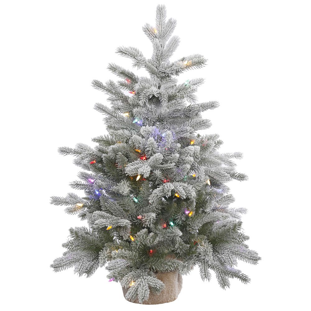 Vickerman 36" Frosted Sable Pine Christmas Tree, Multi-Colored LED Lights