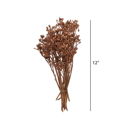 Vickerman 12x1-3" Eucalyptus Clusters on Stem, Orange Frosted, 16 Stems per Unit