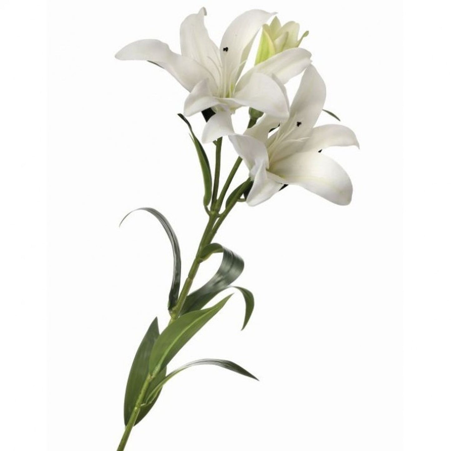 Regency International Natural Touch Lily 34"