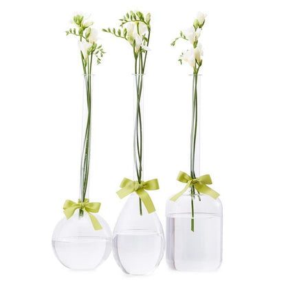 Two's Company Sleek And Chic Vase Trio with Sage Green Ribbon