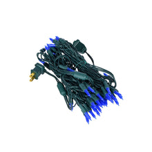 Load image into Gallery viewer, Vickerman 25&#39; Frosted Single Mold Italian Led Christmas Light Set