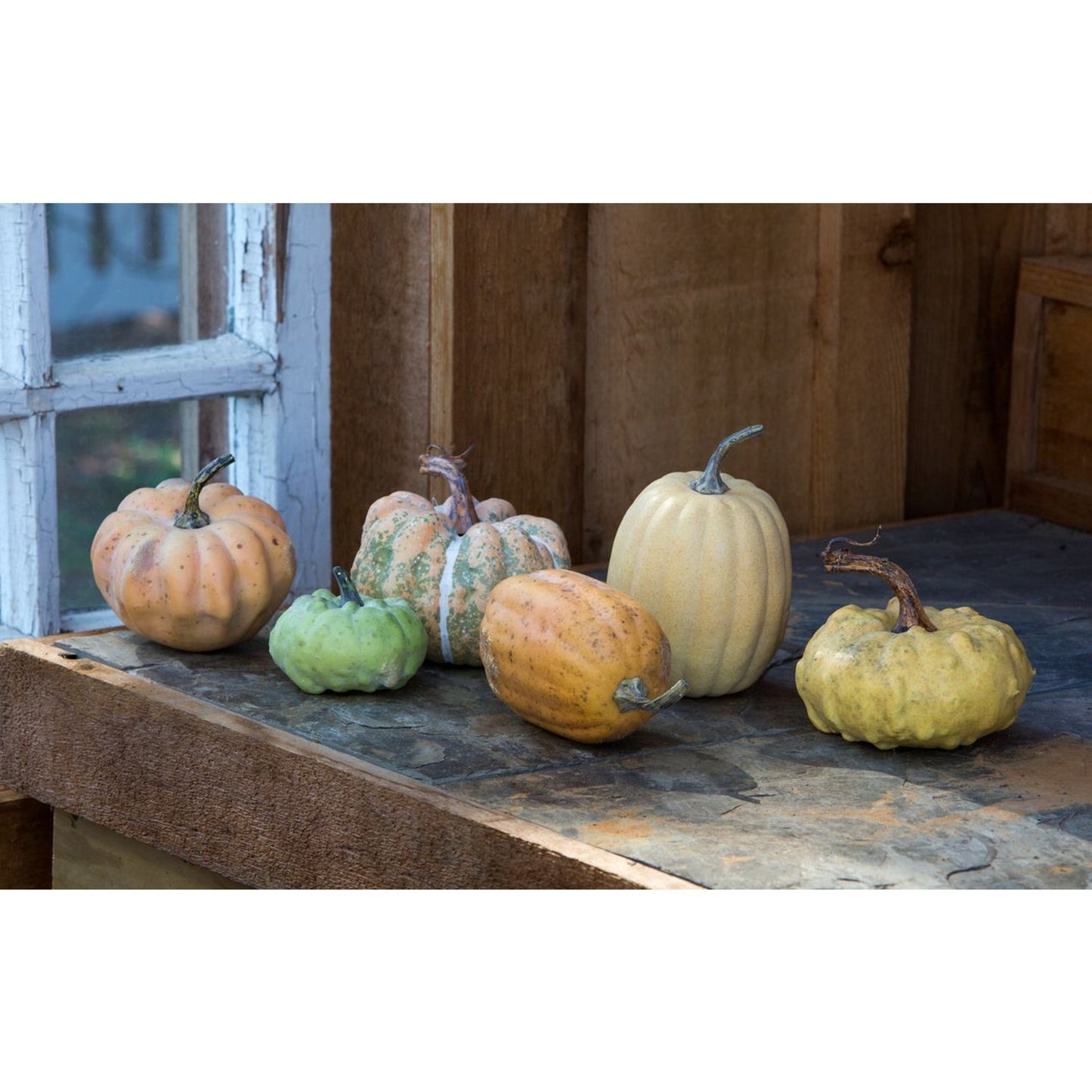 ParkHill Collection Lodge Miniature Pumpkins Collection Set Of 6 Assorted Styles