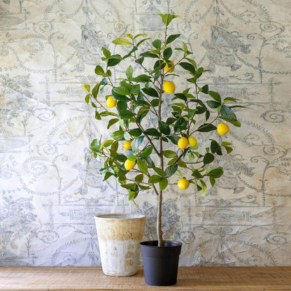 Park Hill Collection Garden Floral Lemon Tree In Plastic Pot