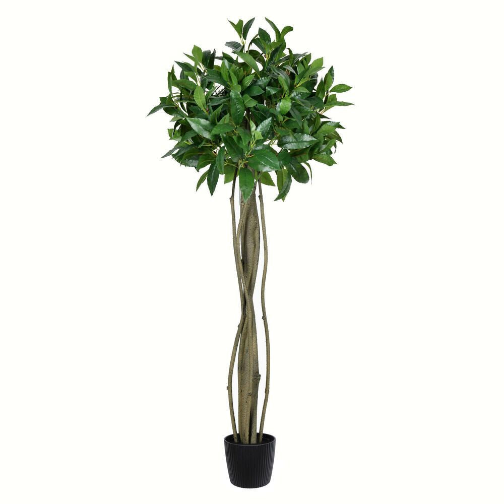 Vickerman Artificial Potted Bay Leaf Topiary