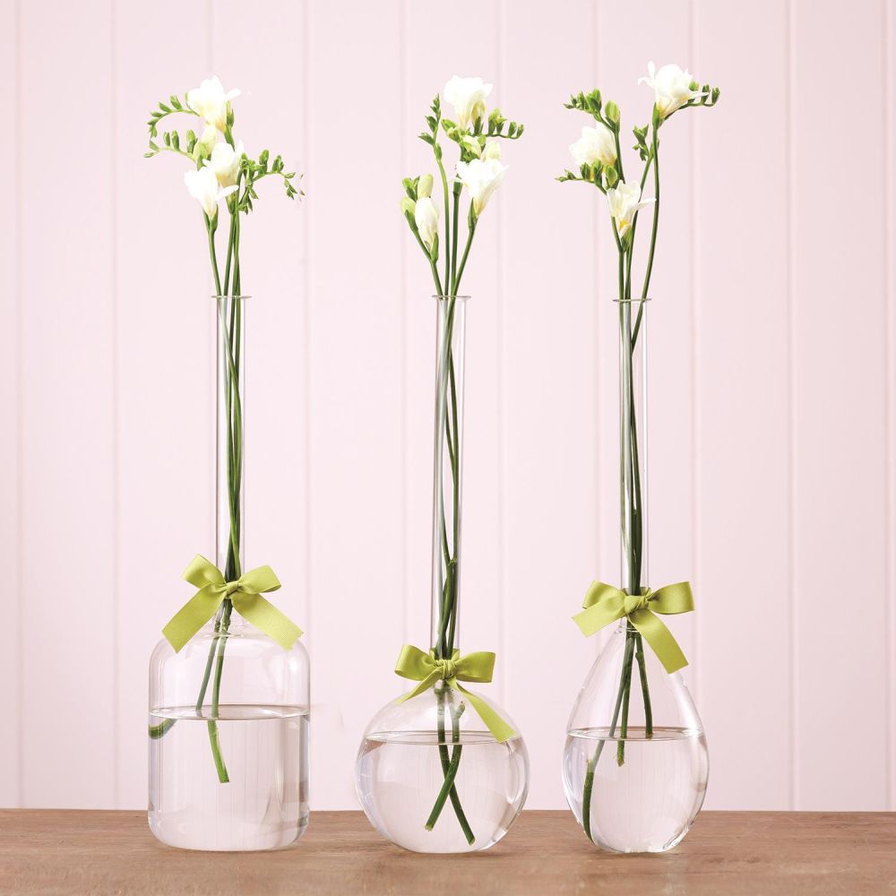 Two's Company Sleek And Chic Vase Trio with Sage Green Ribbon