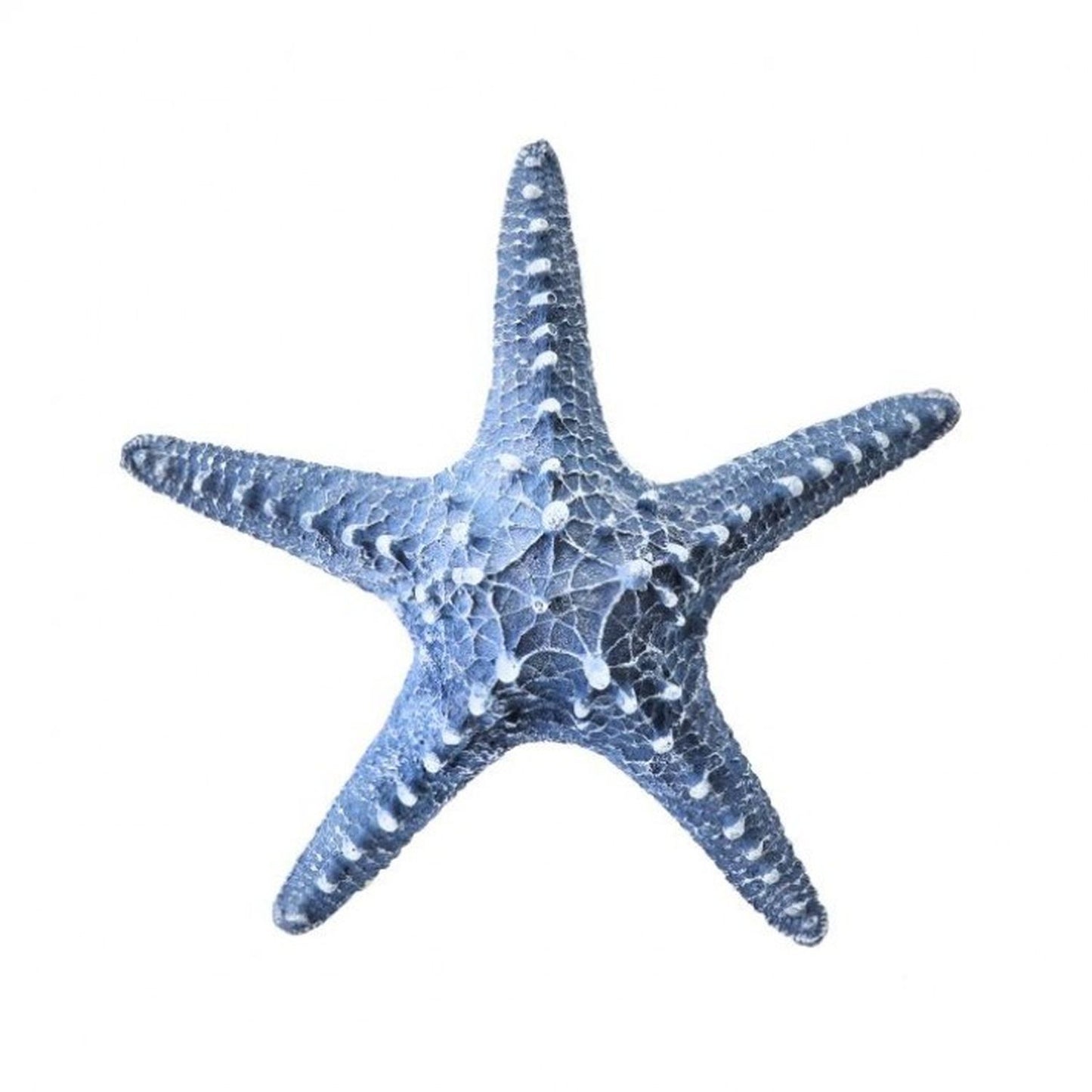 Regency International Polystone Starfish 8"