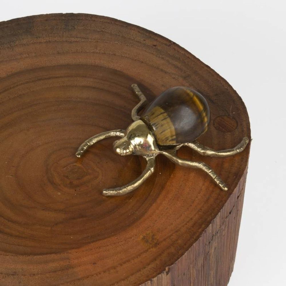 Quest Collection Teak Wooden Keeper with Beetle Accent