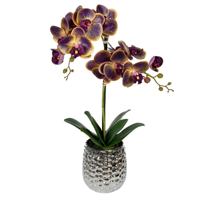 Vickerman 20.5" Artificial Potted Real Touch Phalaenopsis Spray