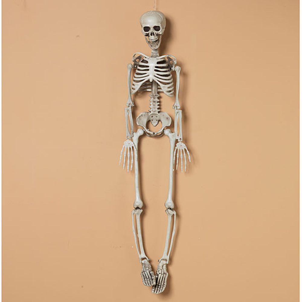 Gerson Company 36.3" Hanging Plastic Skeleton
