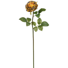 Load image into Gallery viewer, Mark Roberts Spring 2022 Queens Court Rose, 22.5&#39;&#39;, Set Of 6