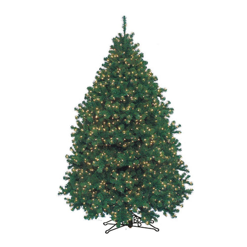Barcana 4.5 Feet Alaskan Fir Christmas Tree Medium, Warm White Glow Led by Barcana