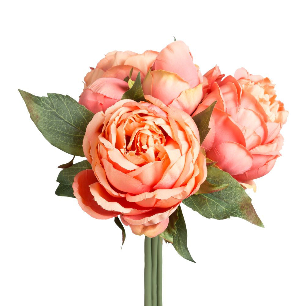 Torre & Tagus Blushing Peony 5 Bloom Bouquet - Orange, 11L"