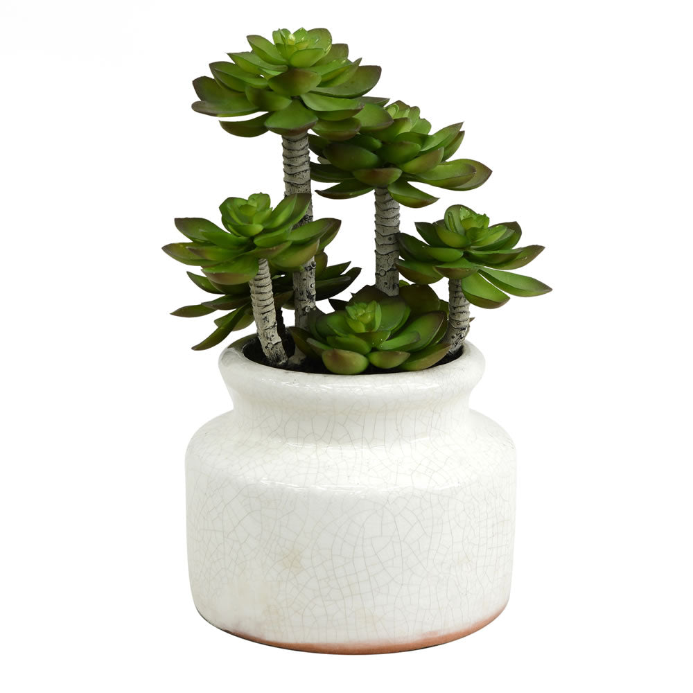 Vickerman 11" Artificial Green Succulent in Round Ceramic Pot, Plastic