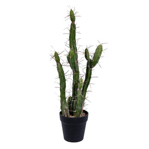 Vickerman Artificial Green Cactus, Black Plastic Planters Pot