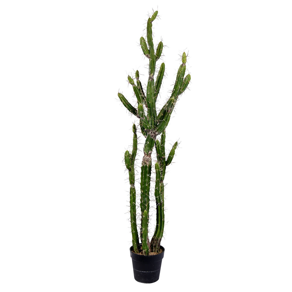 Vickerman 565" Artificial Green Cactus, Black Plastic Planters Pot