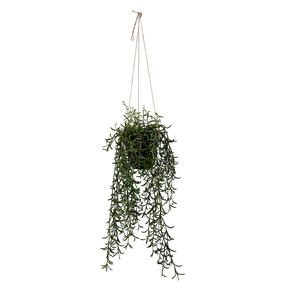 Vickerman 22" Artificial Green Plastic Grass, Hanging Pot, Plastic