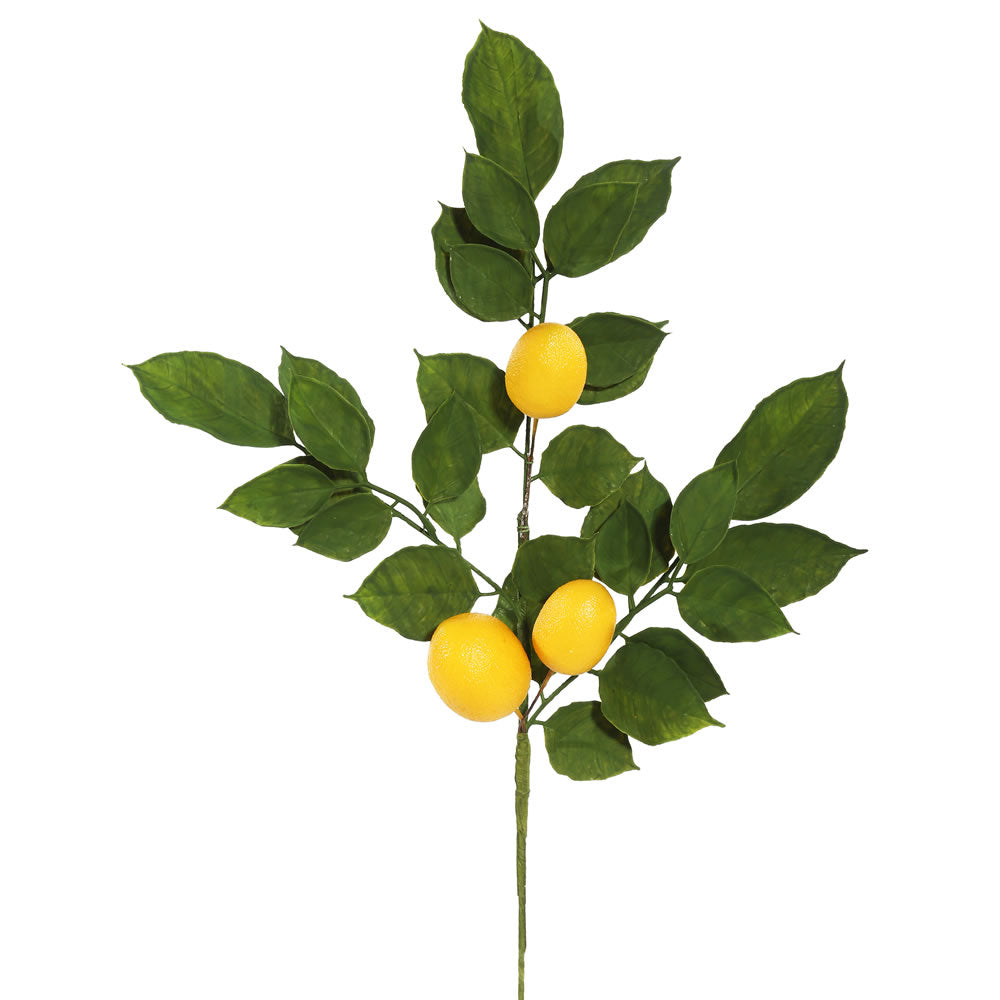 Vickerman 6' Artificial Green and Yellow Salal Leaf Lemon Garland, Polyester