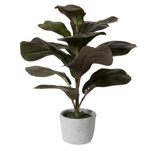 Vickerman 17" Red And Green Artificial Fiddle Leaf Fig Plant In Pot