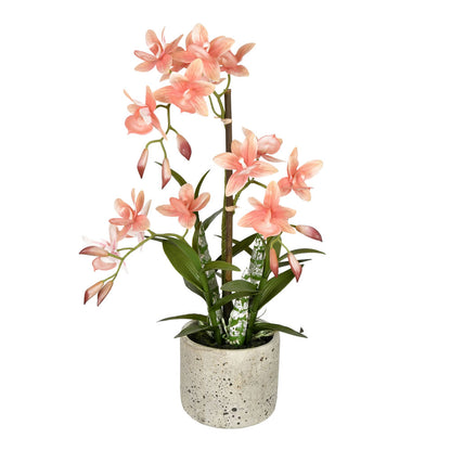 Vickerman 19" Artificial Deluxe Potted Cycnoches
