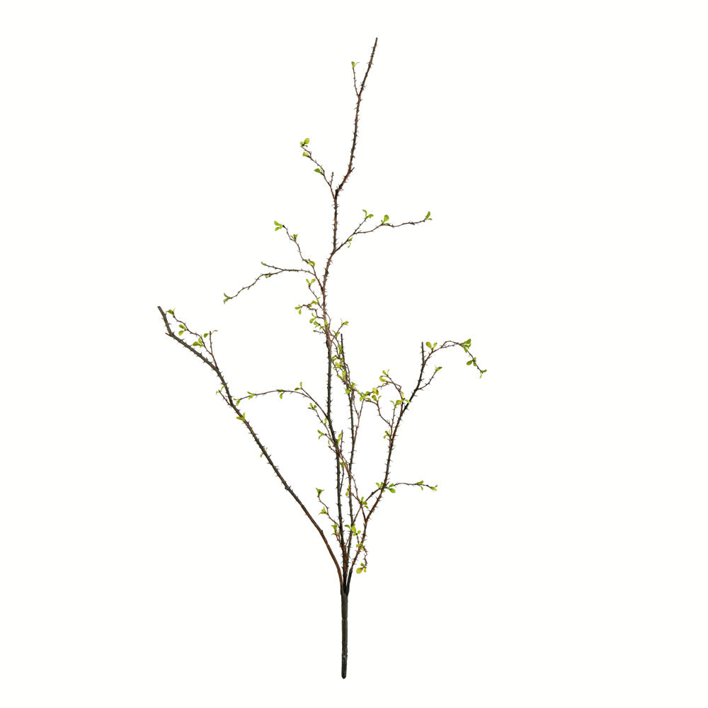Vickerman 33" Artificial Green Baby Leaf Branch, Pack of 2, Plastic