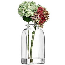 Load image into Gallery viewer, LSA International Umberto Vase, Clear