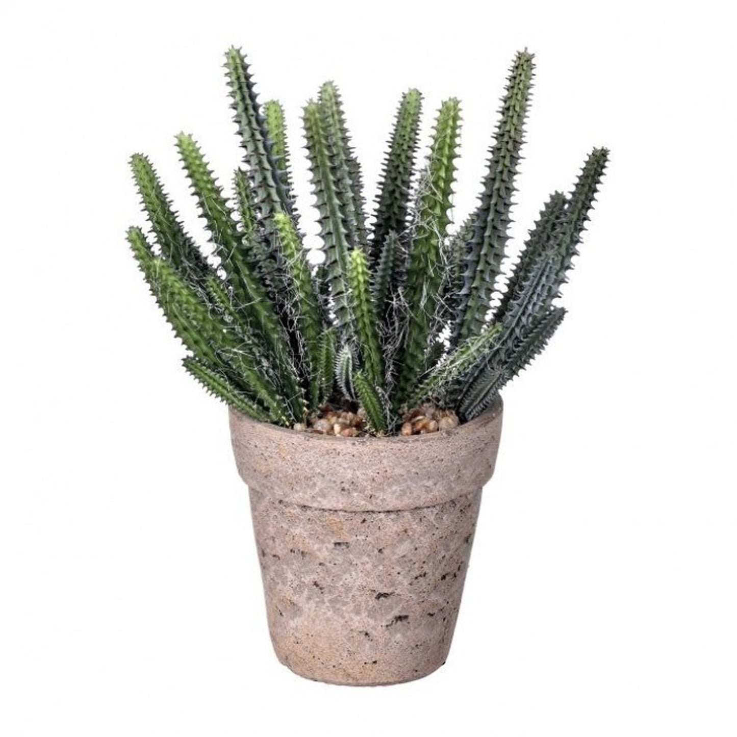 Regency International Plastic Pipe Cactus In Cement Pot 10.5"