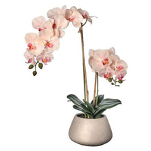 Load image into Gallery viewer, Regency International Natural Touch PhalaenopsisIn Cement Pot 24&quot;