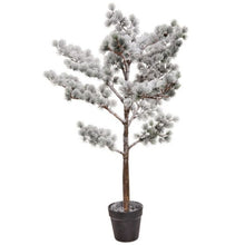 Load image into Gallery viewer, Regency International Potted Snow Mountain Pine Tree