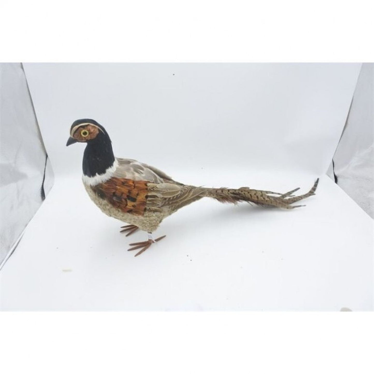 Regency International 20" Feather Pheasant W/Tail