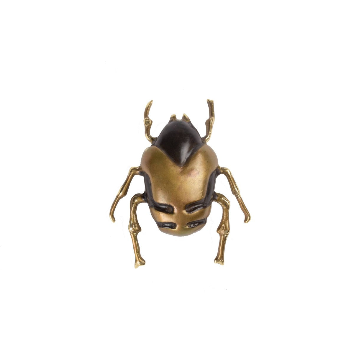 Quest Collection Walnut Bug Ornament