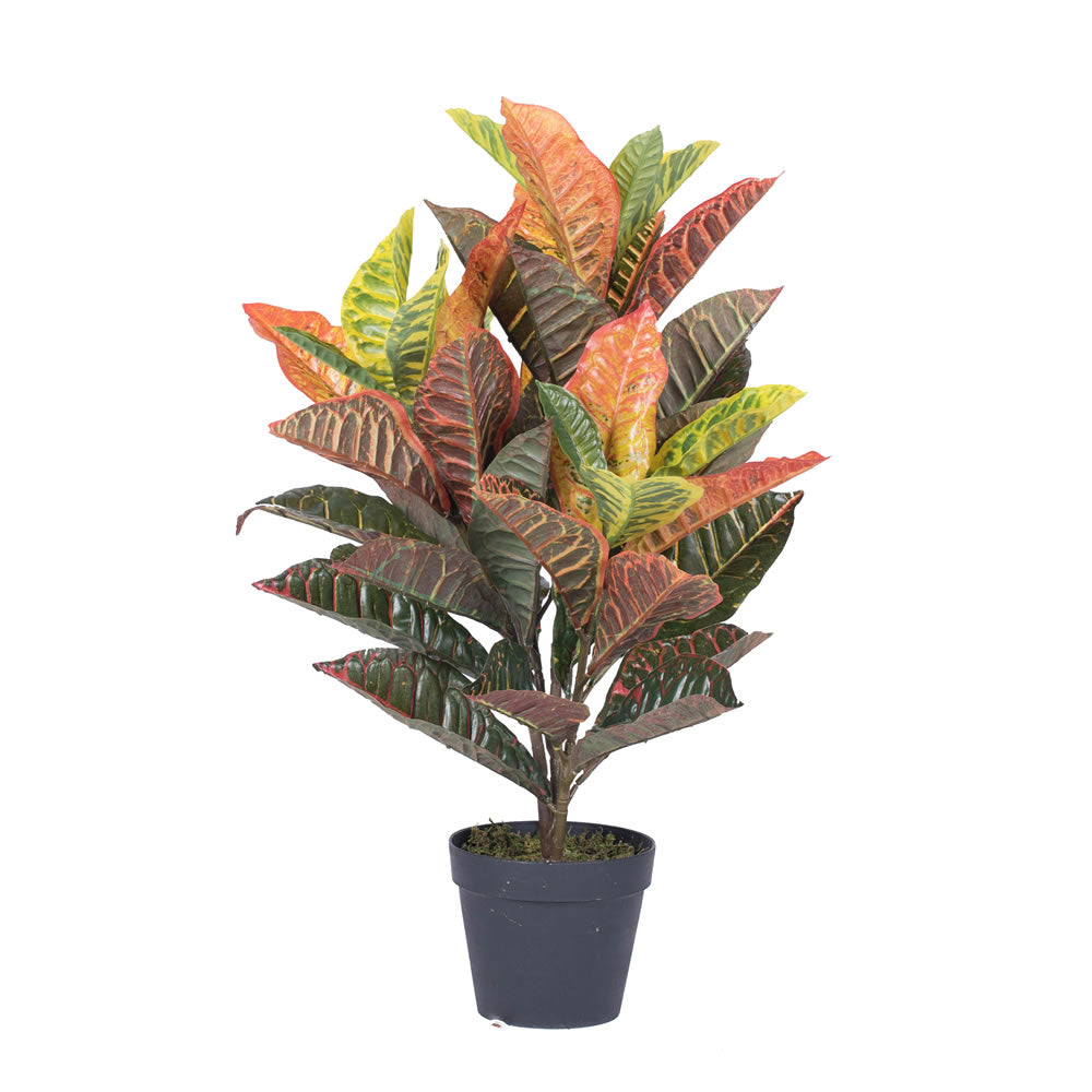 Vickerman 30" Artificial Croton Real Touch Potted Plant, Polyethylene