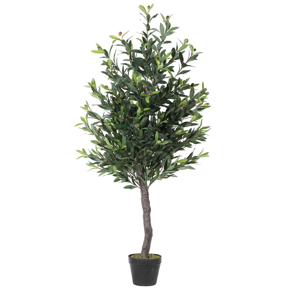 Vickerman 50" Artificial Potted Olive Tree, Polyethylene
