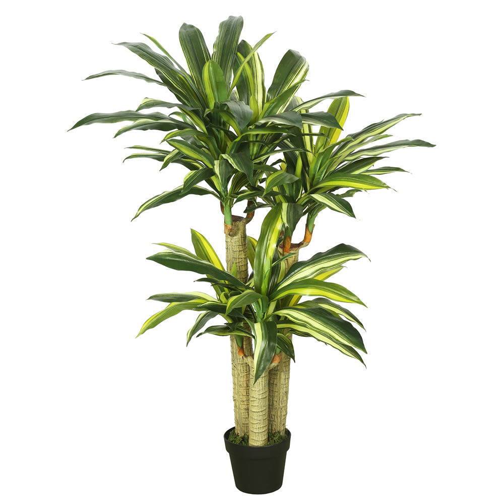 Vickerman 52" Artificial Potted Green and Yellow Real Touch Dracaena Tree