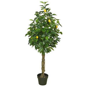 Vickerman 51" Artificial Green And Yellow Real Touch Lemon Tree