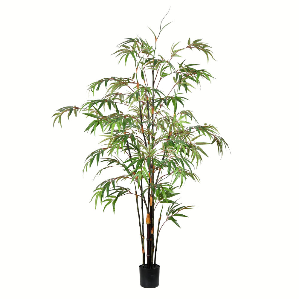 Vickerman Artificial Potted Black Japanese Bamboo Tree